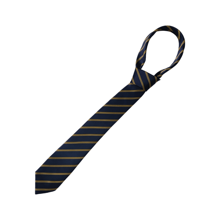 Corbata Liceo Salesiano Monseñor Fagnano1