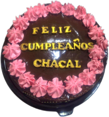 Escribir en Torta