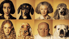 ¿Te Han Dicho Que Te Pareces a Tu Mascota? ¡No es Coincidencia, es Ciencia!