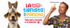  article quienes somos