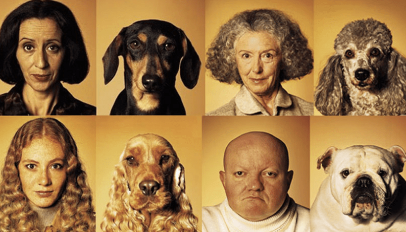 ¿Te Han Dicho Que Te Pareces a Tu Mascota? ¡No es Coincidencia, es Ciencia!