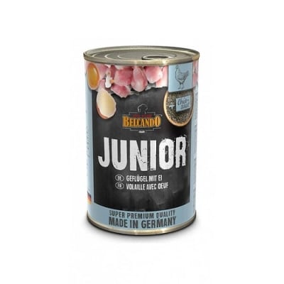 BELCANDO JUNIOR AVE Y HUEVO