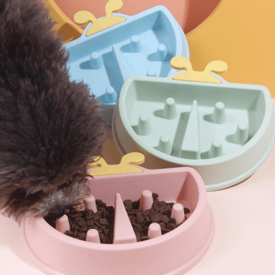 COMEDERO LENTO ANIMALITOS