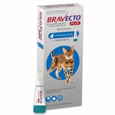 BRAVECTO PLUS 250MG PARA GATOS (2.8 A 6.25KG)-1 UNID