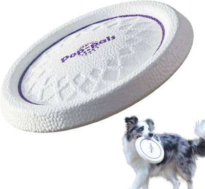 Gigwi Pop-Pals Everlasting Flying Disc