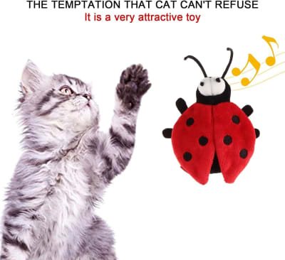 Gigwi Melody Chaser Activate Sound Chini3