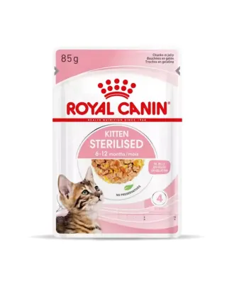 ROYAL CANIN FHN KITTEN JELLY FWP 12X85G