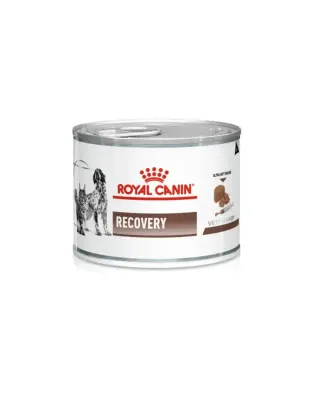 ROYAL CANIN VHN RECOVERY FWC CWC 1X195G