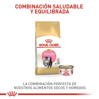 ROYAL CANIN FBN PERSIAN KITTEN FD 4KG