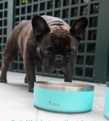 COMEDERO ACERO INOXIDABLE 64 OZ