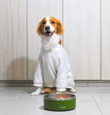 COMEDERO ACERO INOXIDABLE 32 OZ7