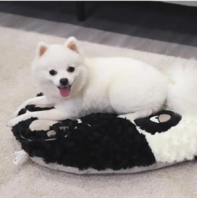 Panda 'Snoozy Friends' cojín cama5