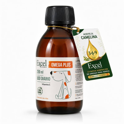 EXCEL CAMELINA1