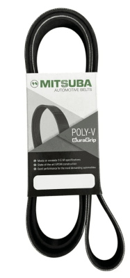 CORREA 12PK-21201