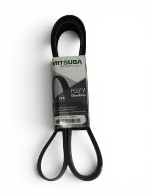 CORREA 12PK-22101