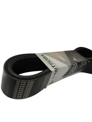 CORREA 12PK-21801