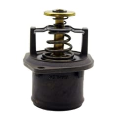 TERMOSTATO DE ACEITE MWM