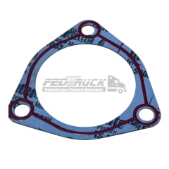 EMPAQUETADURA DE BOMBA DE COMBUSTIBLE DETROIT S60 (631290)