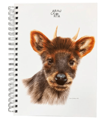 Cuaderno especial 20x27,5cm Pudú Araucaria / ARTEL1