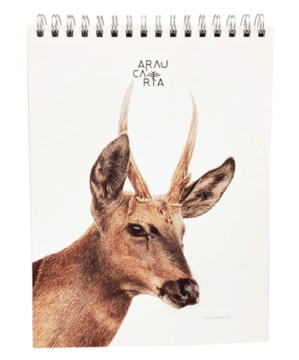 Croquera Carta 21,2x28cm Huemul Araucaria1