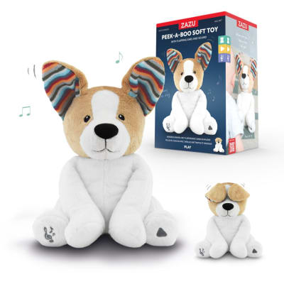 PEEK A BOO DOG DANNY1