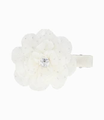 PINCHE CRUDO 00 CRUDO 11