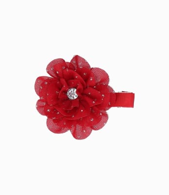 PINCHE ROJO 00 ROJO1