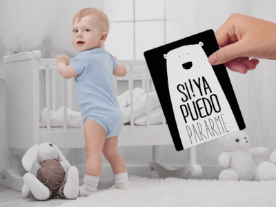 TARJETAS ILUSTRADAS LES PETITES TARJETAS ILUSTRADAS LES PETITES
