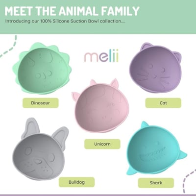 BOWLS DE SILICONA CON VENTOSA1