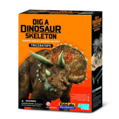 triceratops skeleston 0