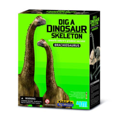 BRACHIOSAURUS EXCAVA 0