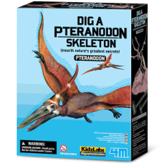 DINOSAURIO PTERANODON EXCAVA 0