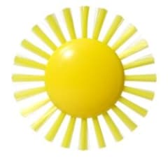 PLUI BRUSH SUNNY