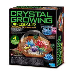 TERRARIO DE CRISTAL DINOSAURIOS 0