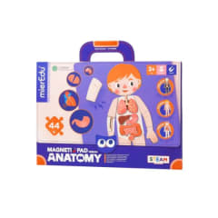 MALETIN MAGNETICO ANATOMIA 0