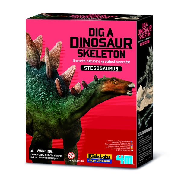 stegosaurus skeletom1