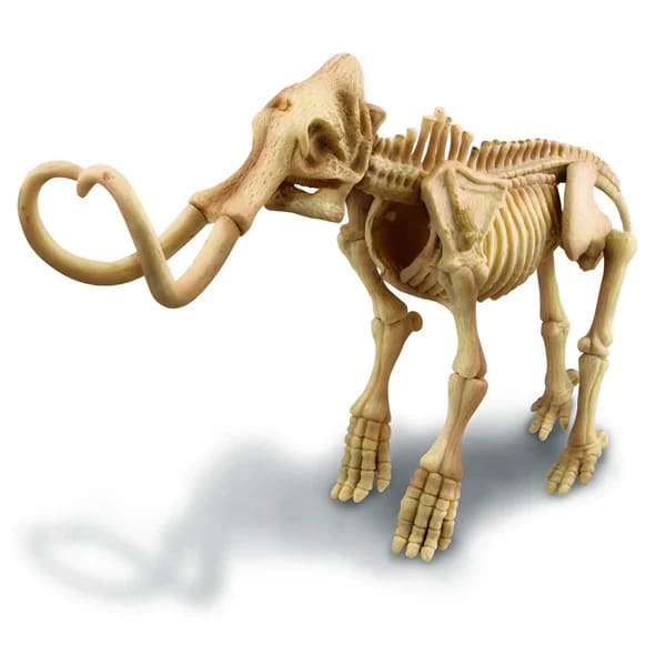 KIDZ LABS MAMMOTH SKELETON2