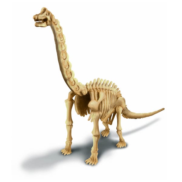 BRACHIOSAURUS EXCAVA3