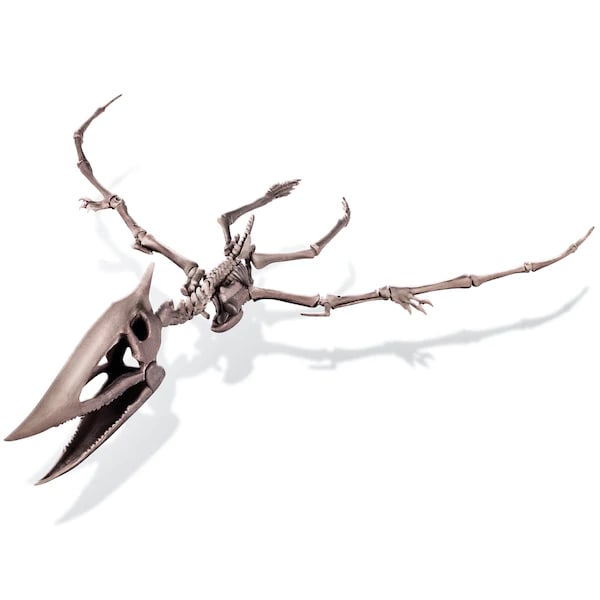 DINOSAURIO PTERANODON EXCAVA4