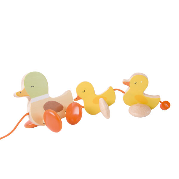 ARRASTRE PATO1