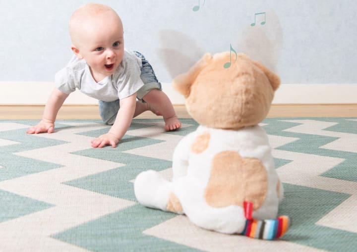 PEEK A BOO DOG DANNY4