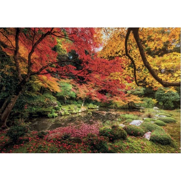 PUZZLE 1500 PCS PARQUE EN OTOÑO COMPAC2