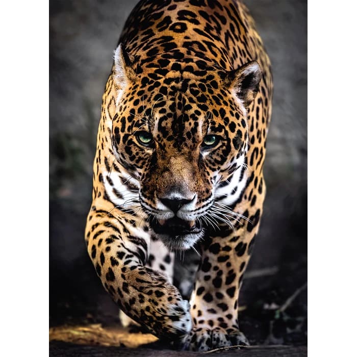 PUZZLE 1000 PCS PASEO DEL JAGUAR2