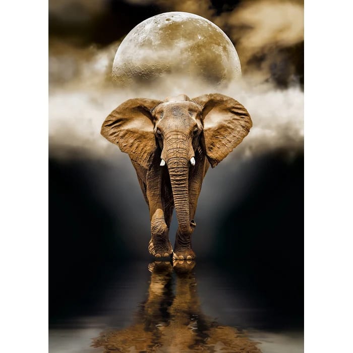 PUZZLE 1000 PCS ELEFANTE1