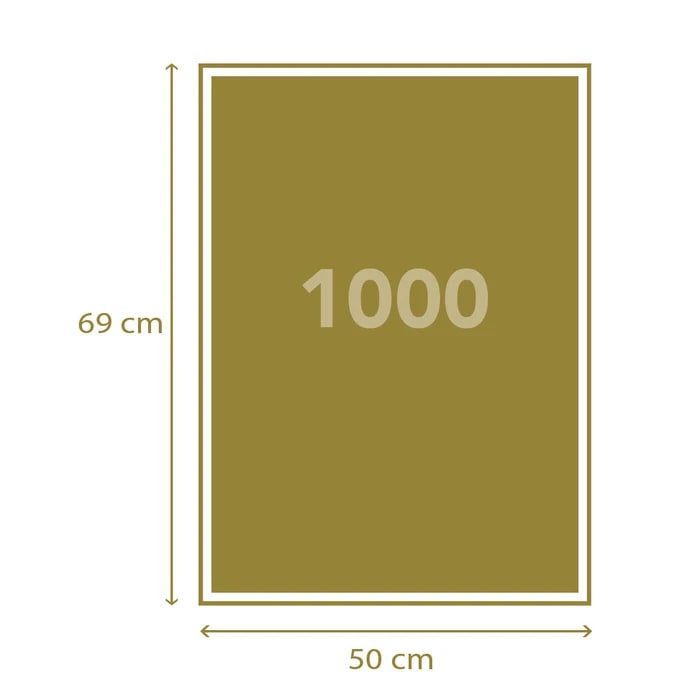 PUZZLE 1000 PCS BIBLIODAME5