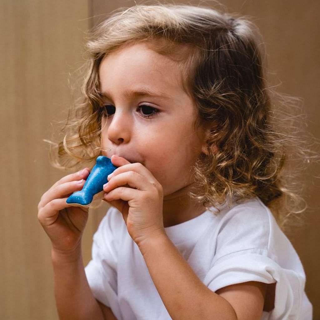 SILBATO PLAN TOYS DELFIN2