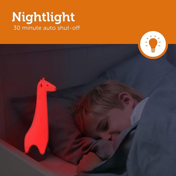 TORCH LIHT GINA GREY3