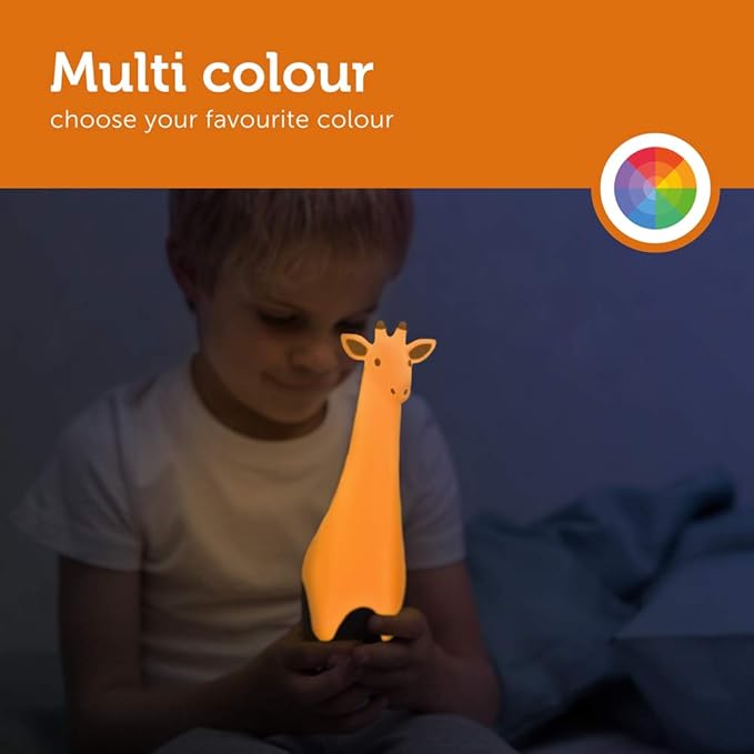 TORCH LIHT GINA GREY4