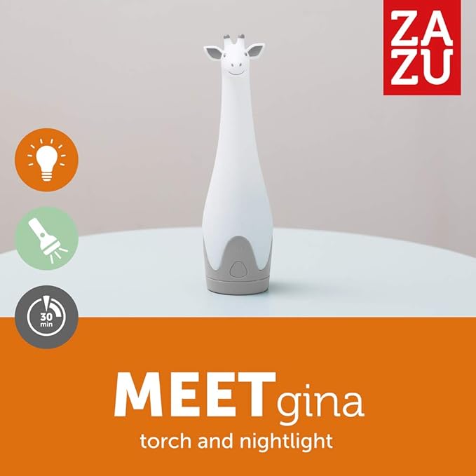 TORCH LIHT GINA GREY2