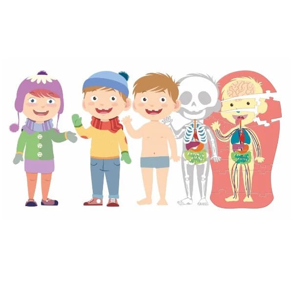 JUEGO CUERPO HUMANO2